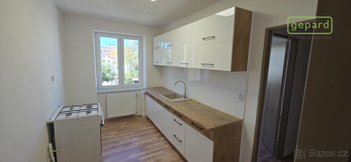 Zděný byt se sklepem a podílem na pozemku - Jírovcova ulice