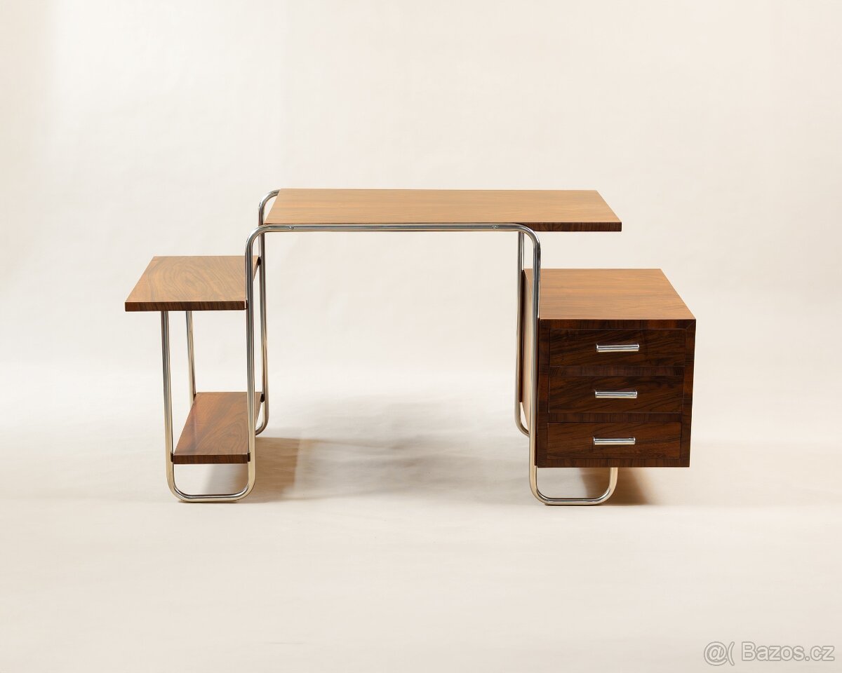 PSACÍ STŮL-FUNKCIONALISMUS