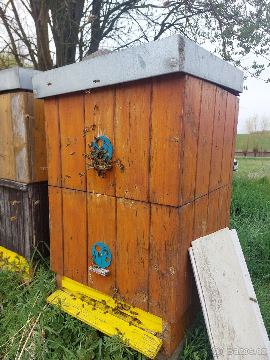 Prodam vyzimovana vcelstva