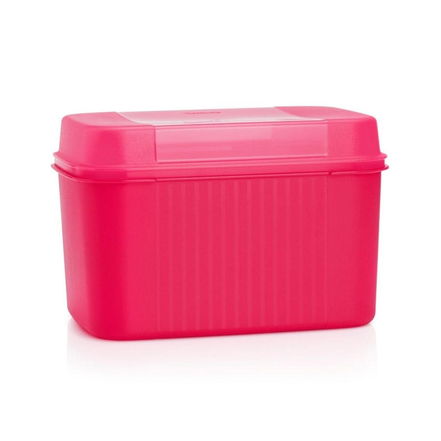 Tupperware box truhla
