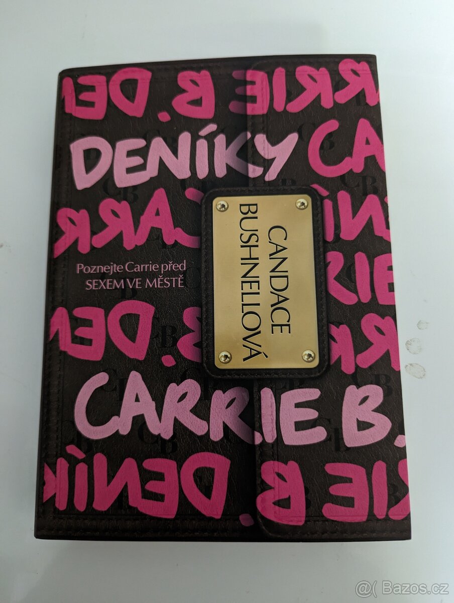 Láska mluví francouzsky, Deníky Carrie B., Ztráty a nálezy