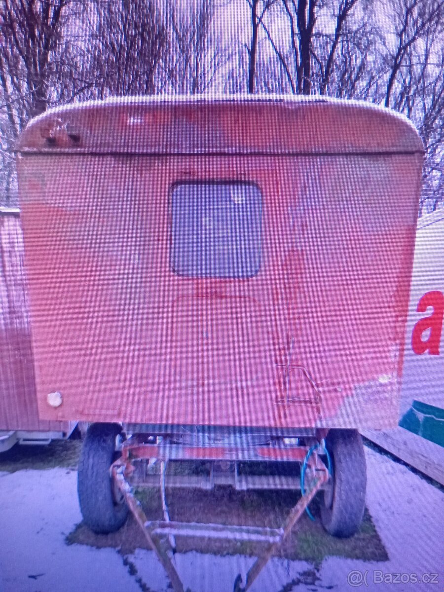 maringotkav3s