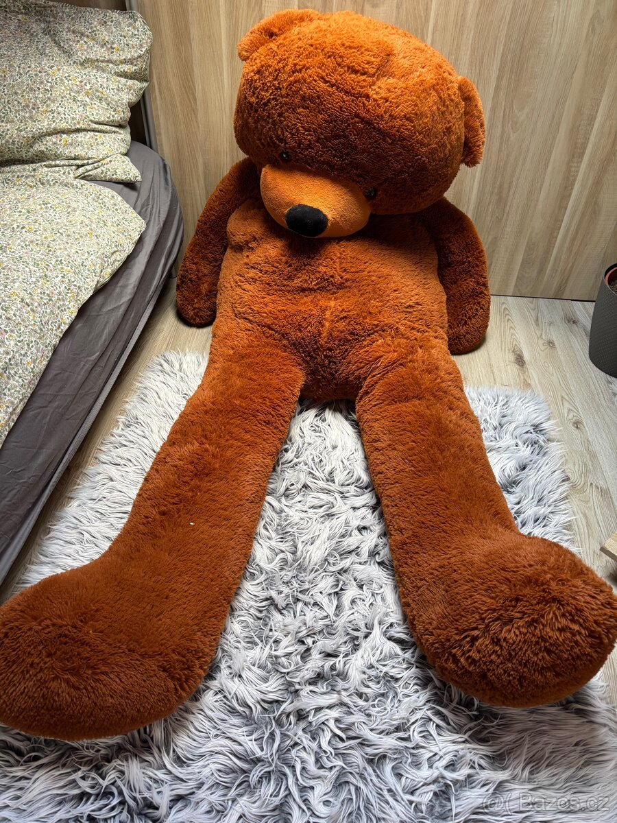 Plyšový medvěd