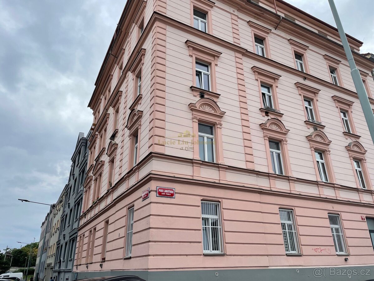 Pronájem garsoniéry, 19.2 m2, vybaveno, Pod Labuťkou, Praha