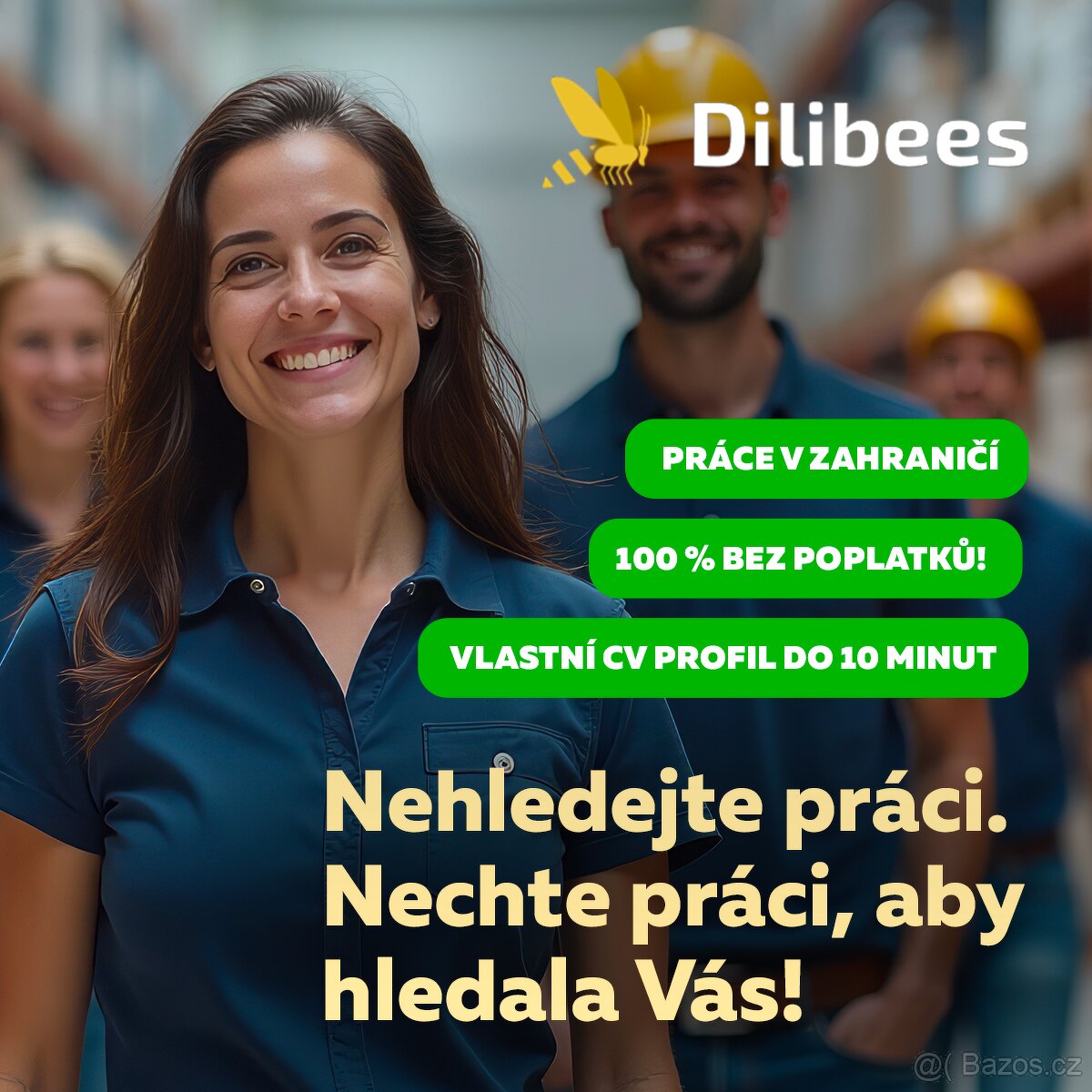 Lakýrník 1.100.000,-Kč/ Netto / Ročně