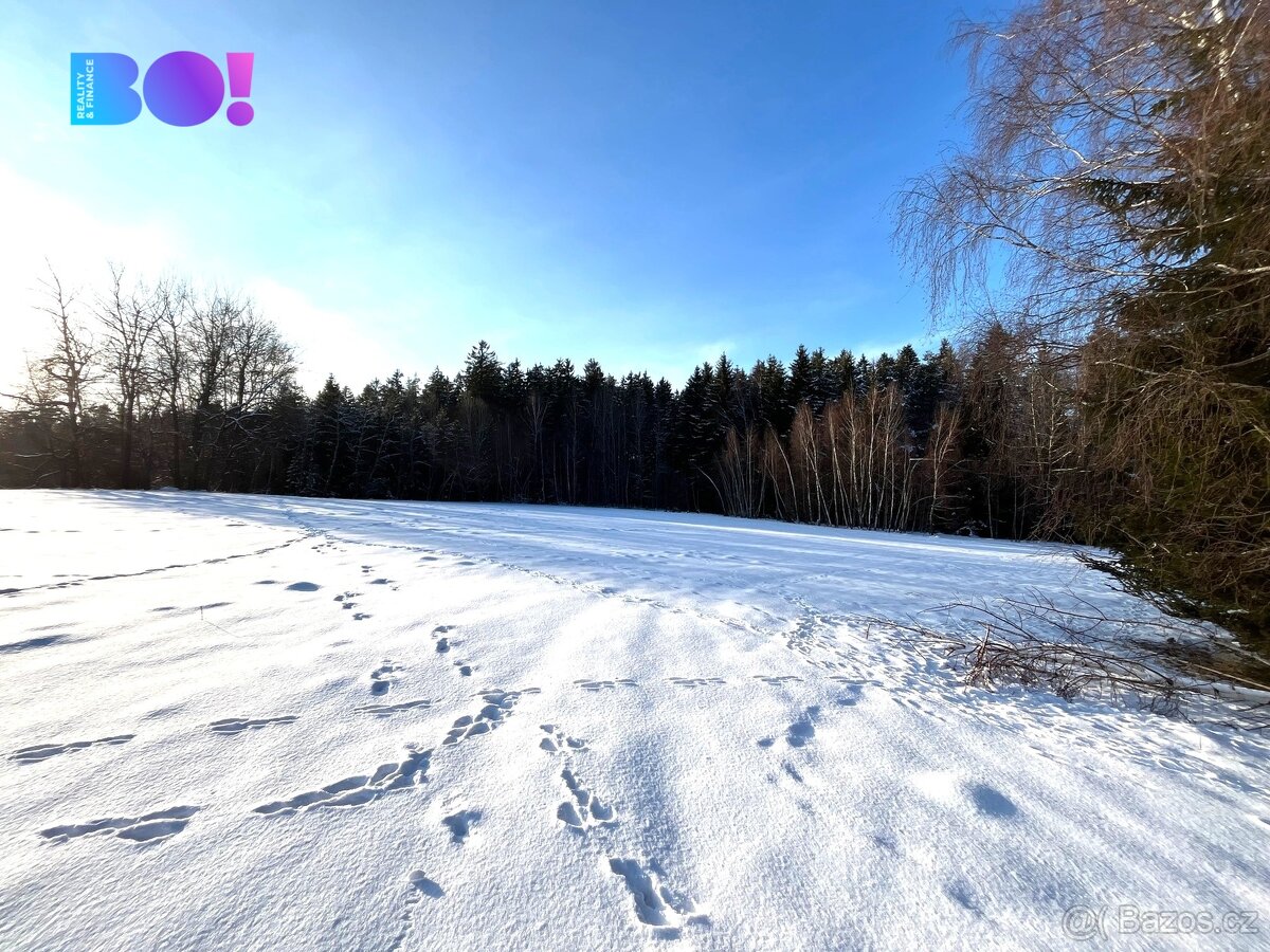 Prodej lesa, 43 856 m², Stržanov