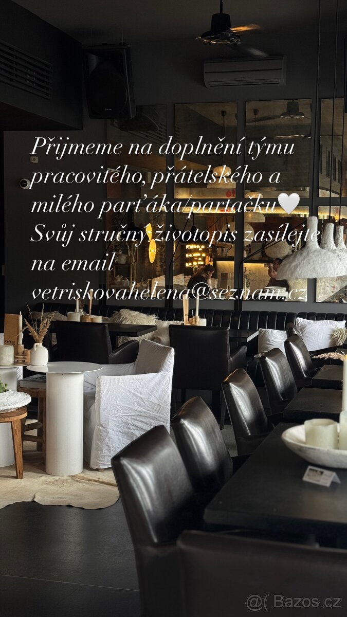 barman, barmanka, cisnik, servirka