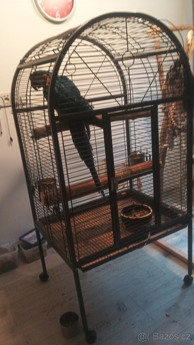Prodam tuto klec