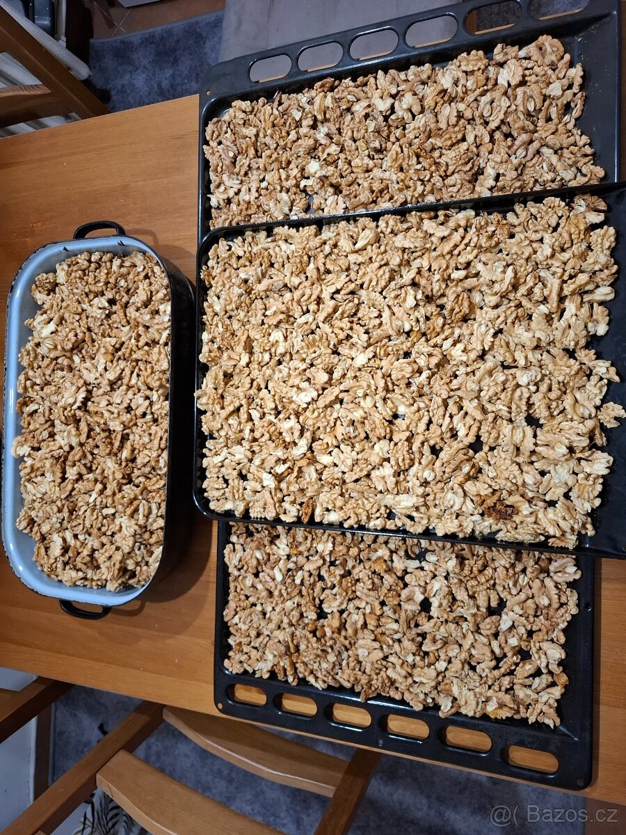 Letošní loupané,sušeného vlašské ořechy