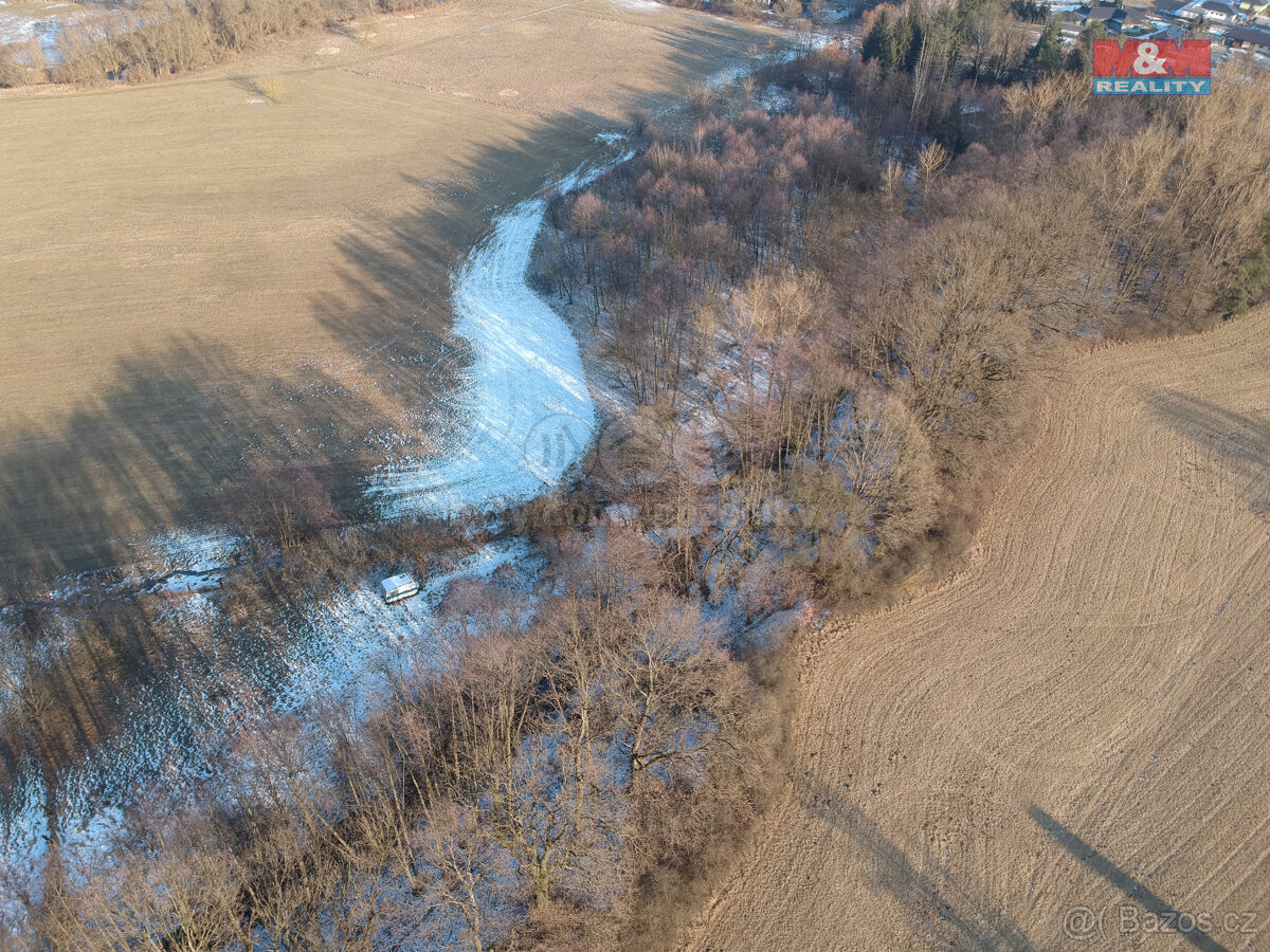 Prodej pole, 203 m², Borohrádek