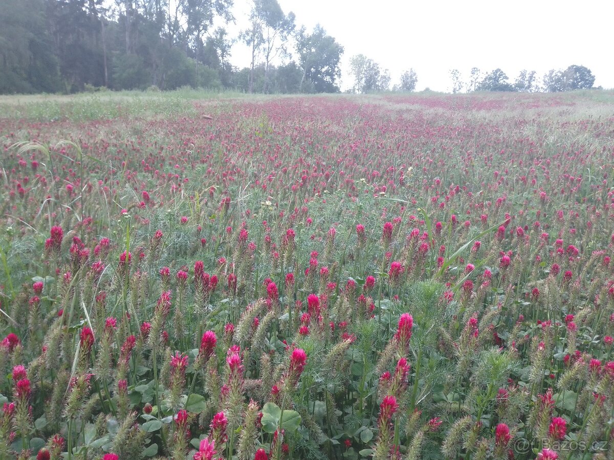 Seno, senáž, z 9 ha, pár balíků to bude...a zadara