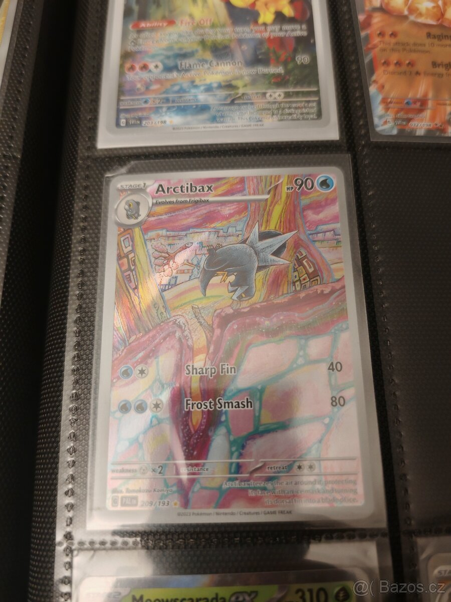 Pokémon arctibax