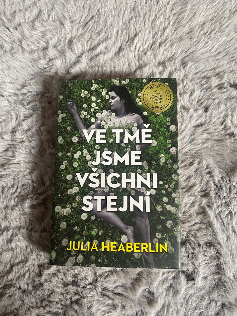 Ve tmě jsme všichni stejní - Julia Heaberlin