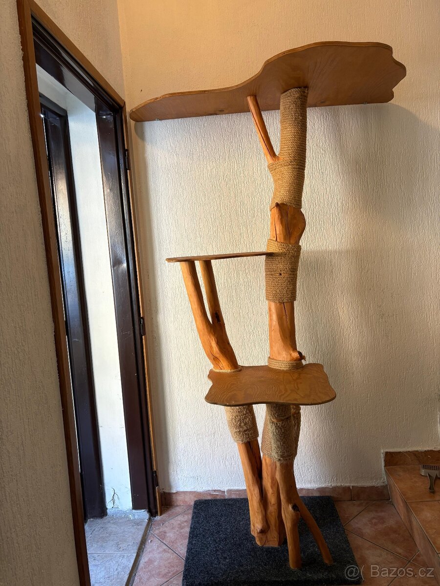 Kočičí strom (2 metry)