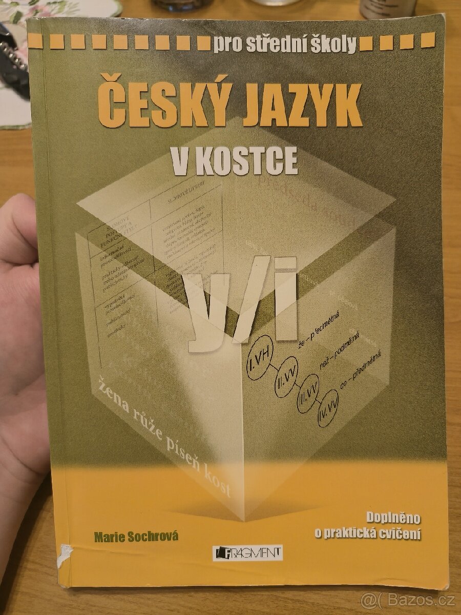 Český jazyk v kostce