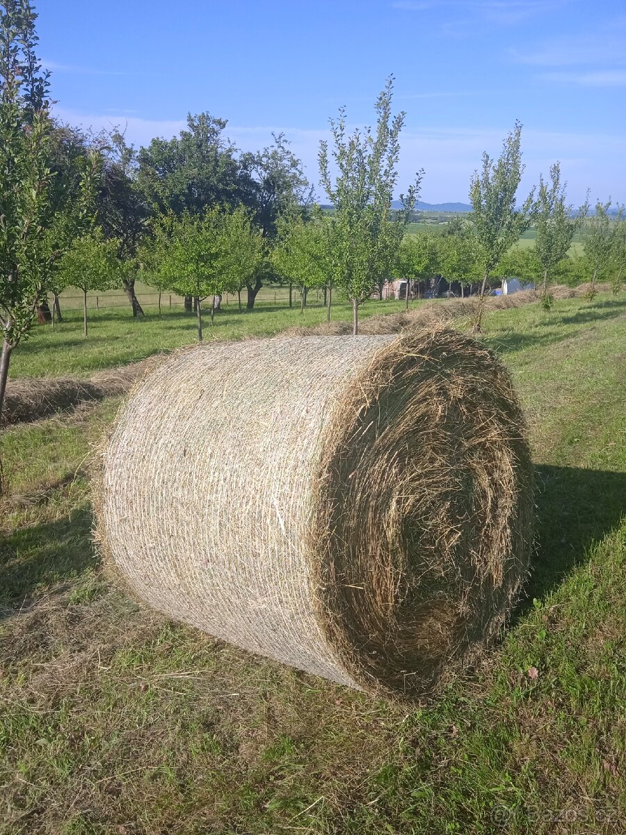 Seno 2025, kulate baliky.