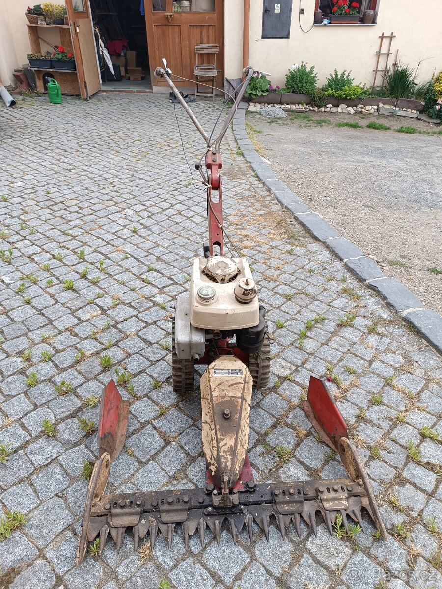 Vari Terra