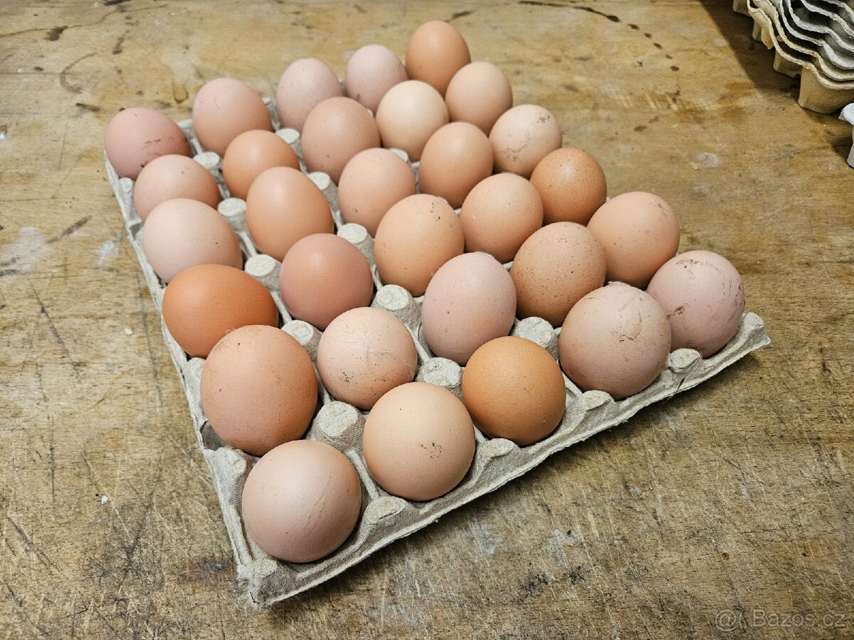 Domácí vejce z volného chovu