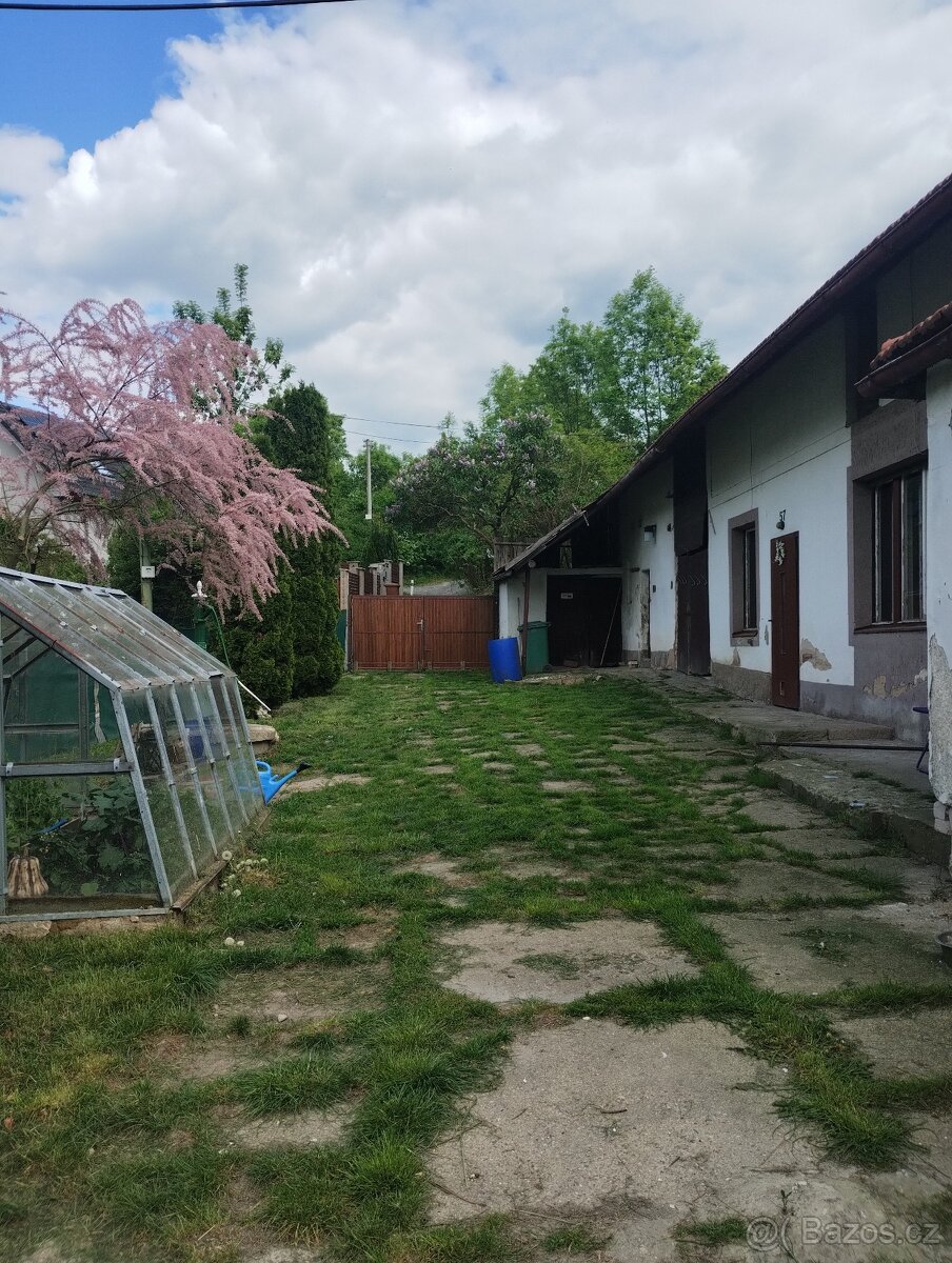 Statek ve vinici