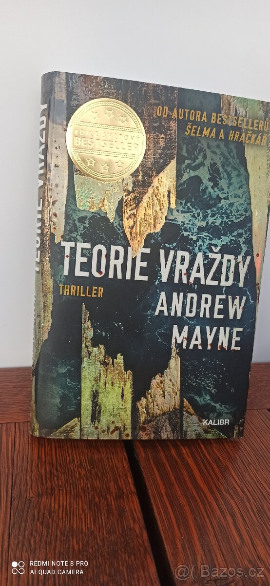 TEORIE VRAŽDY ANDREW MAYNE (série 3.díl)