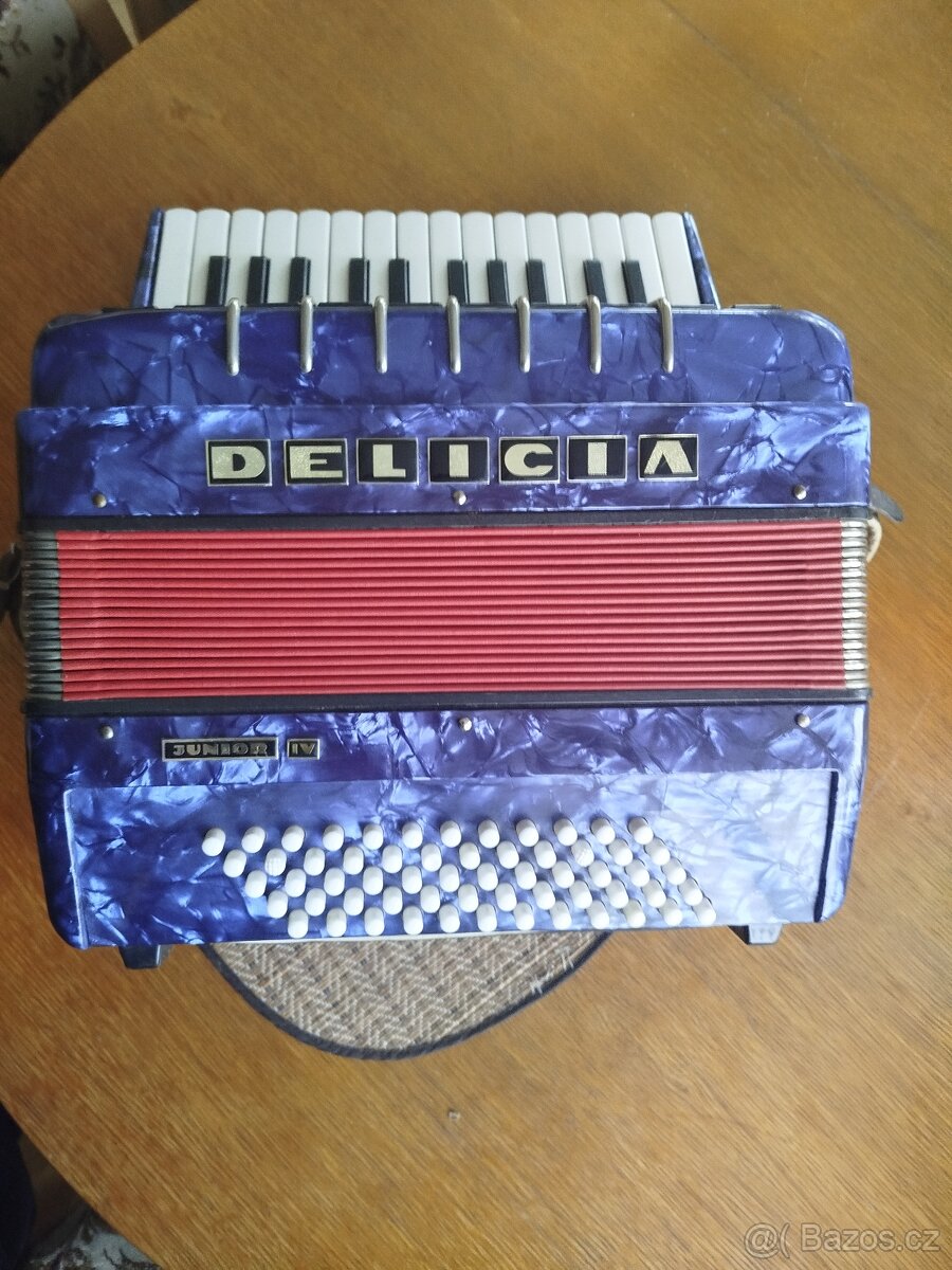 AkordeonDelicia