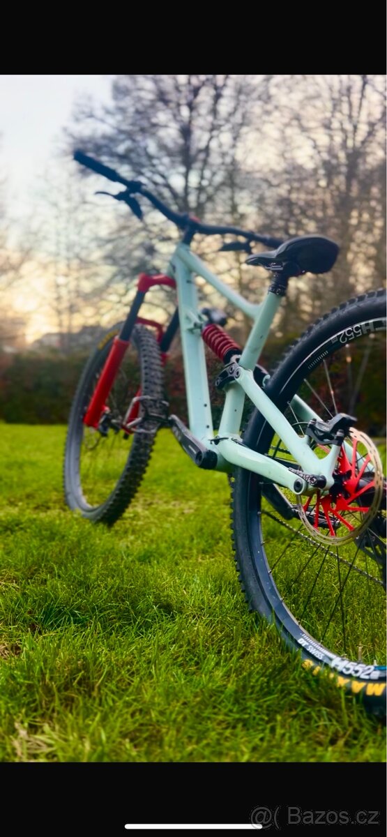 Specialized status 160