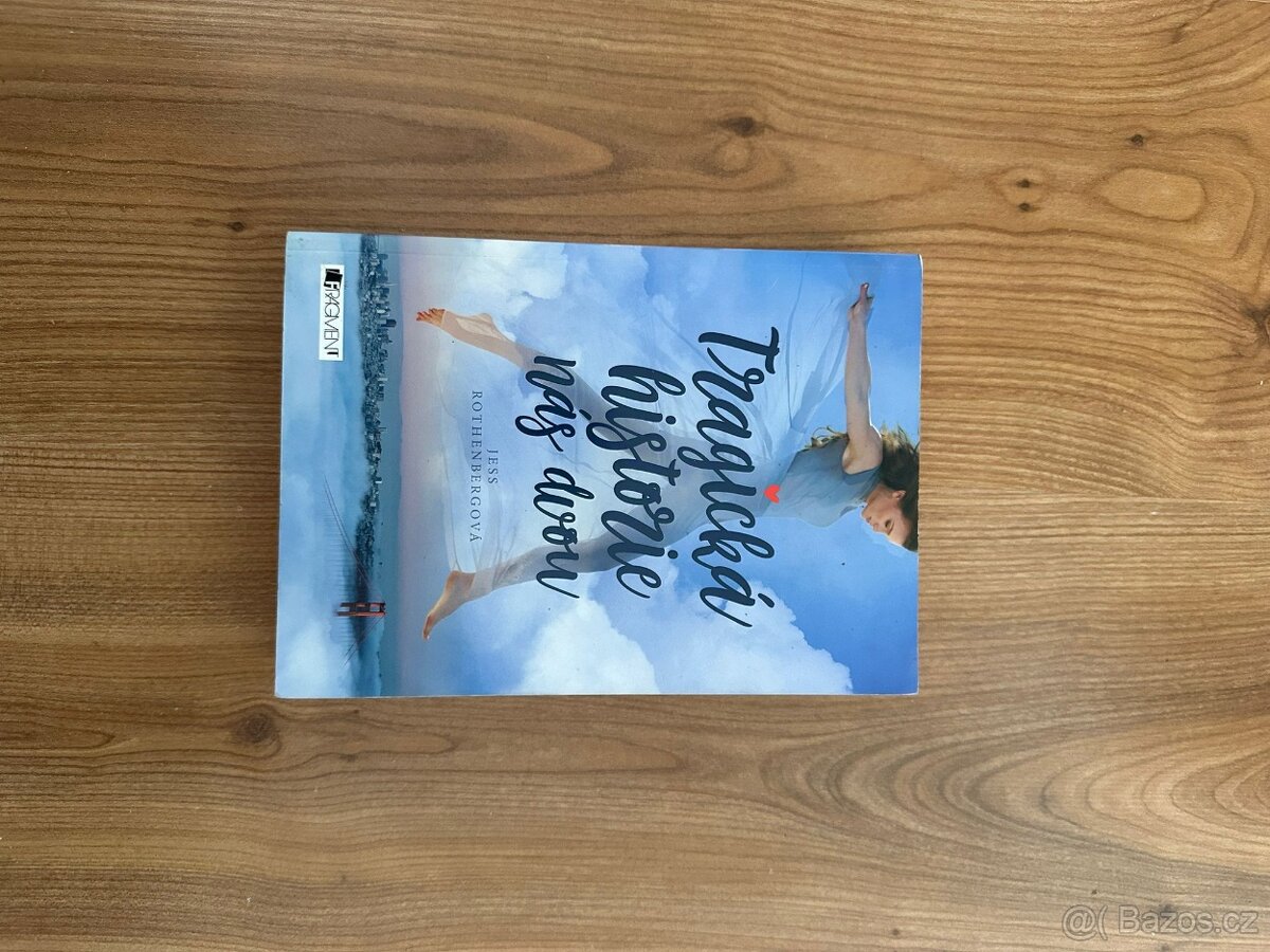 Tragická historie nás dvou - Jess Rothenbergová