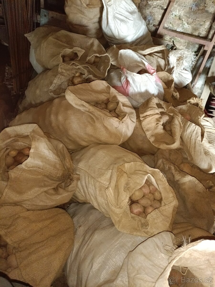 Netříděné brambory