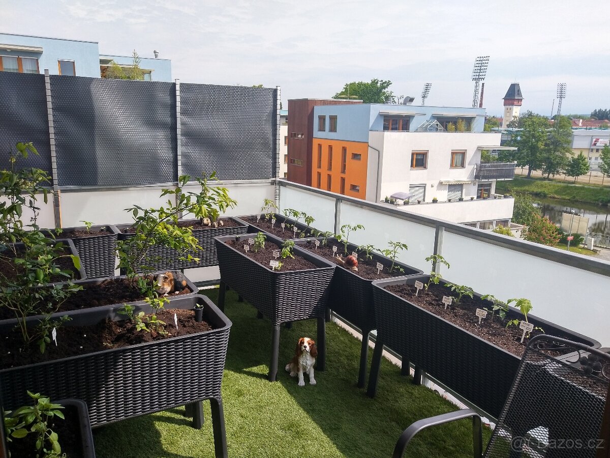 Květináč KETER Easy Grow 120l antracit