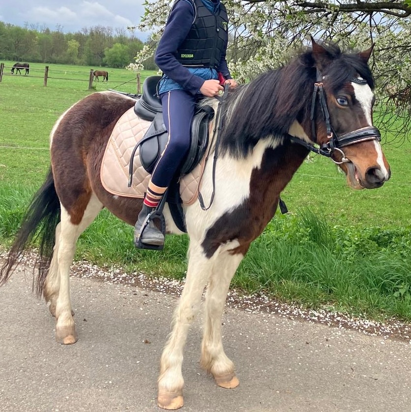 Jezdecké sedlo Kentaur