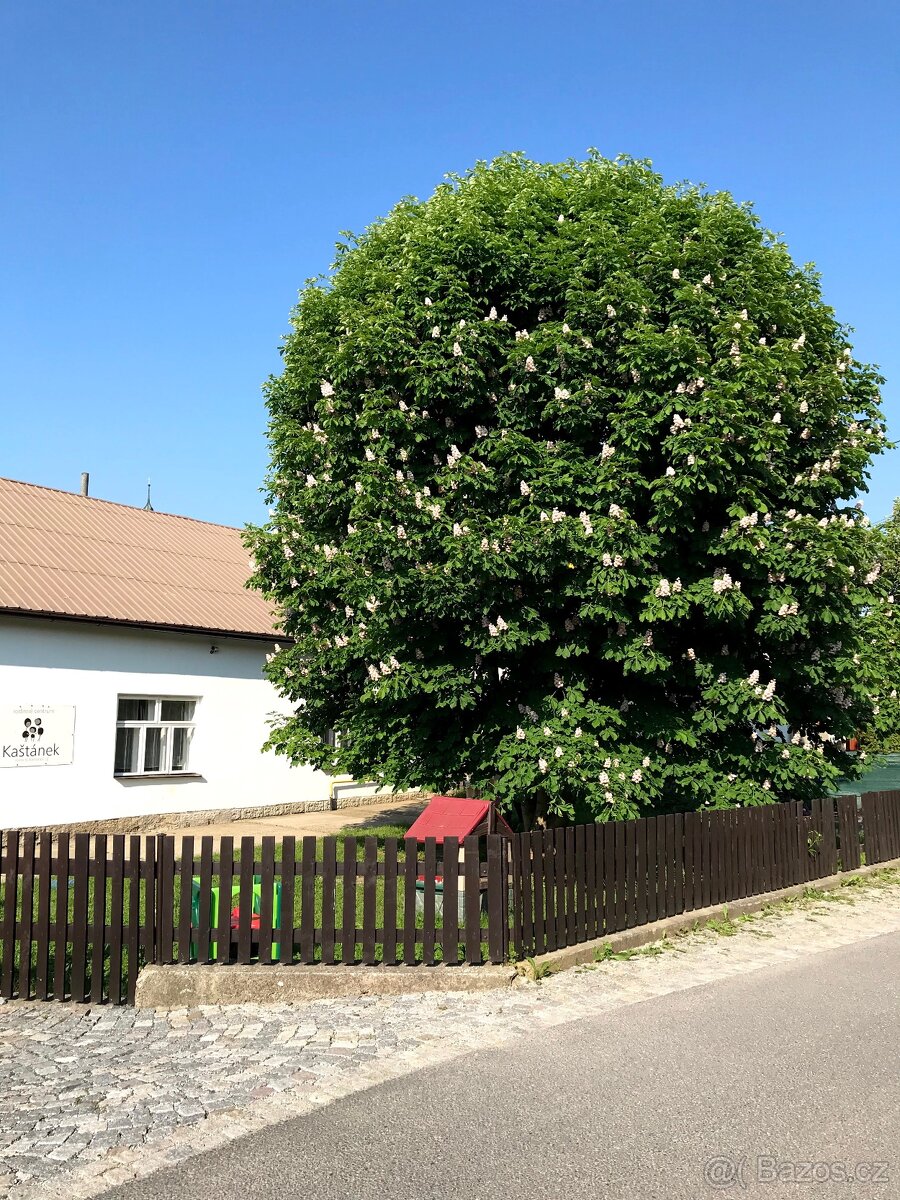 Pronájem chalupy ve Valašských Kloboukách
