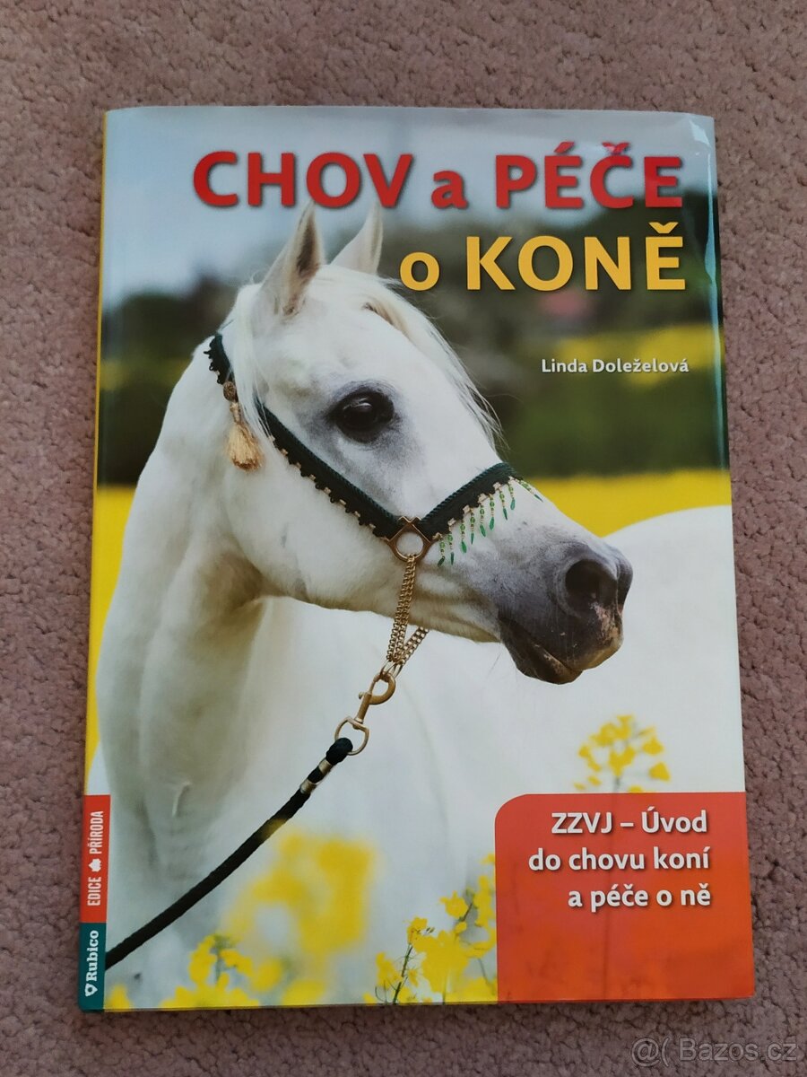 Chov a péče o koně