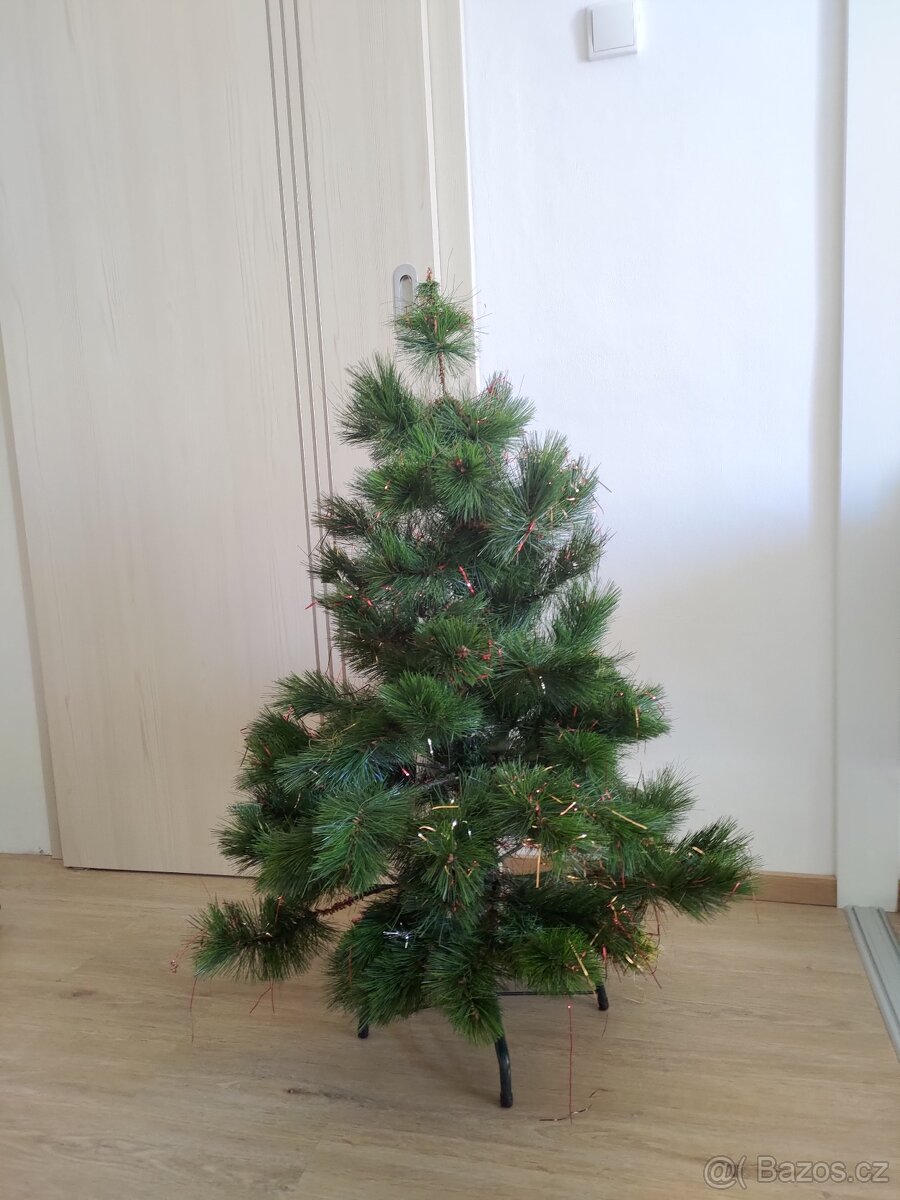 Vánoční stromeček borovice