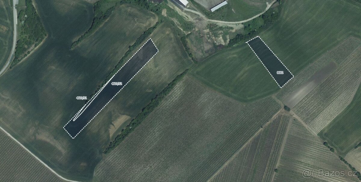 Zemědělská půda, prodej, Velké Pavlovice, Břeclav