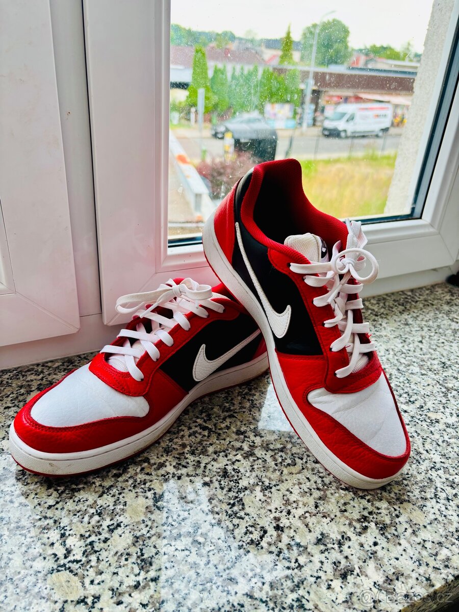 Nike Ebernon Low