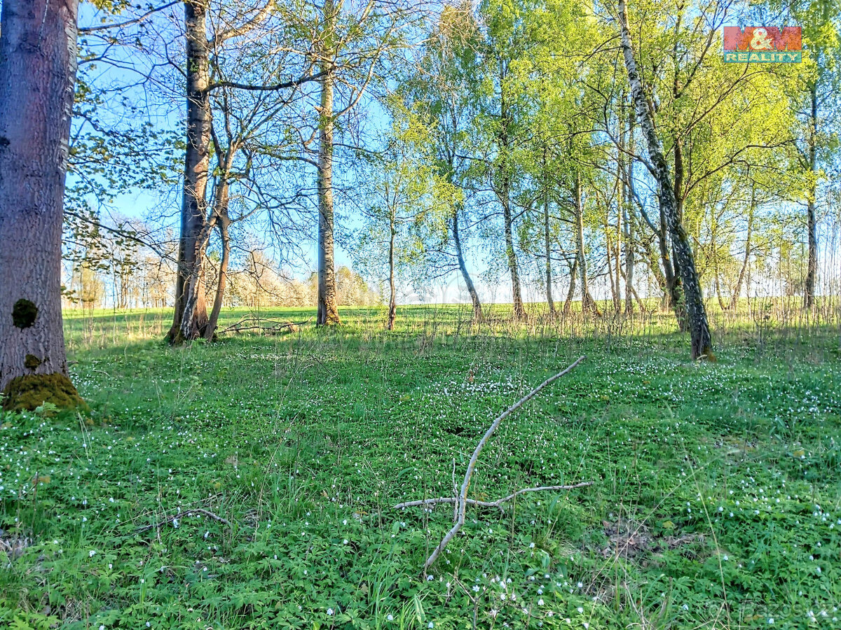 Prodej pozemku k bydlení v Staré Vodě, 2966 m2