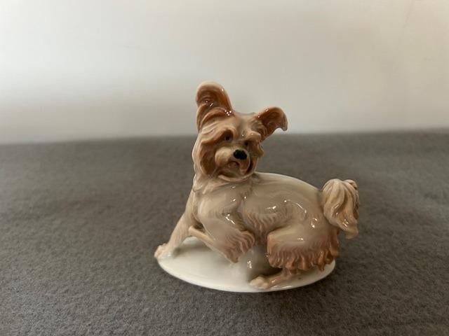 Porcelánová soška psa ROSENTHAL.