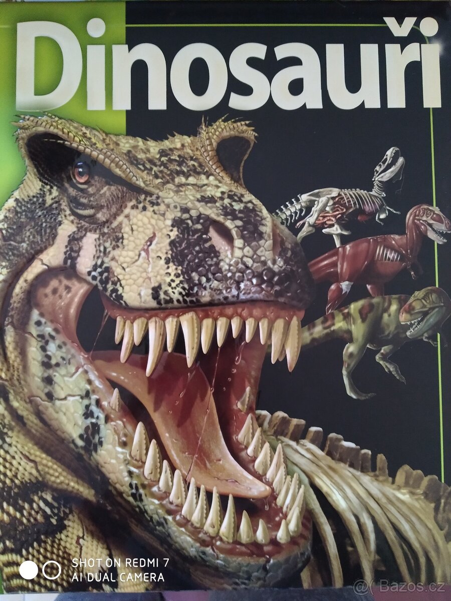 Kniha o dinosaurech