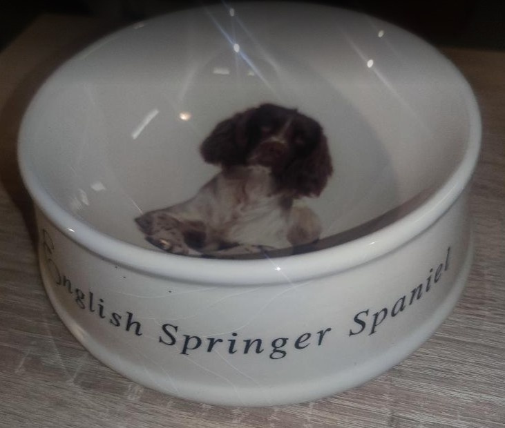 MISKA - výhradně Springer Spaniel