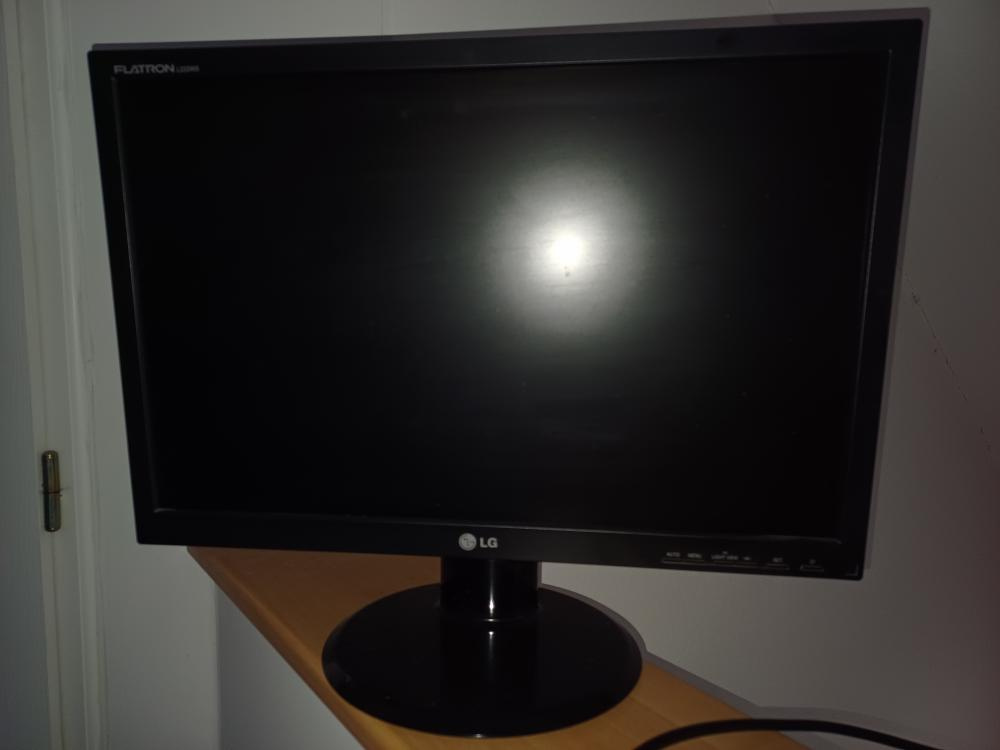 Monitor LG L222WS
