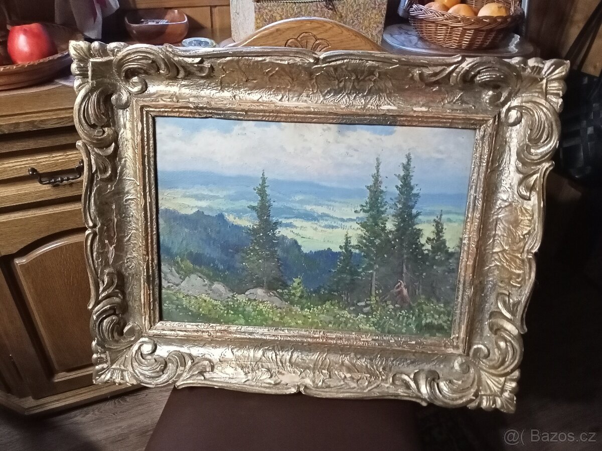 Obraz -krajina