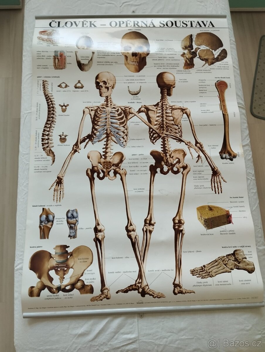 Plakáty
