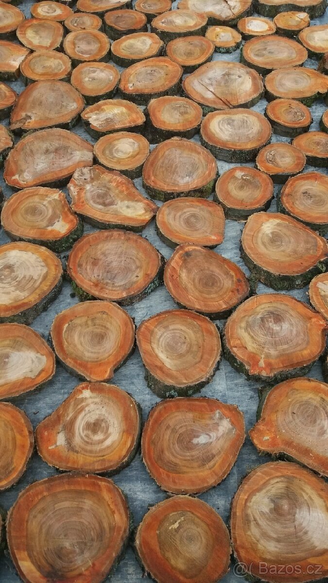 Třešňové dřevo