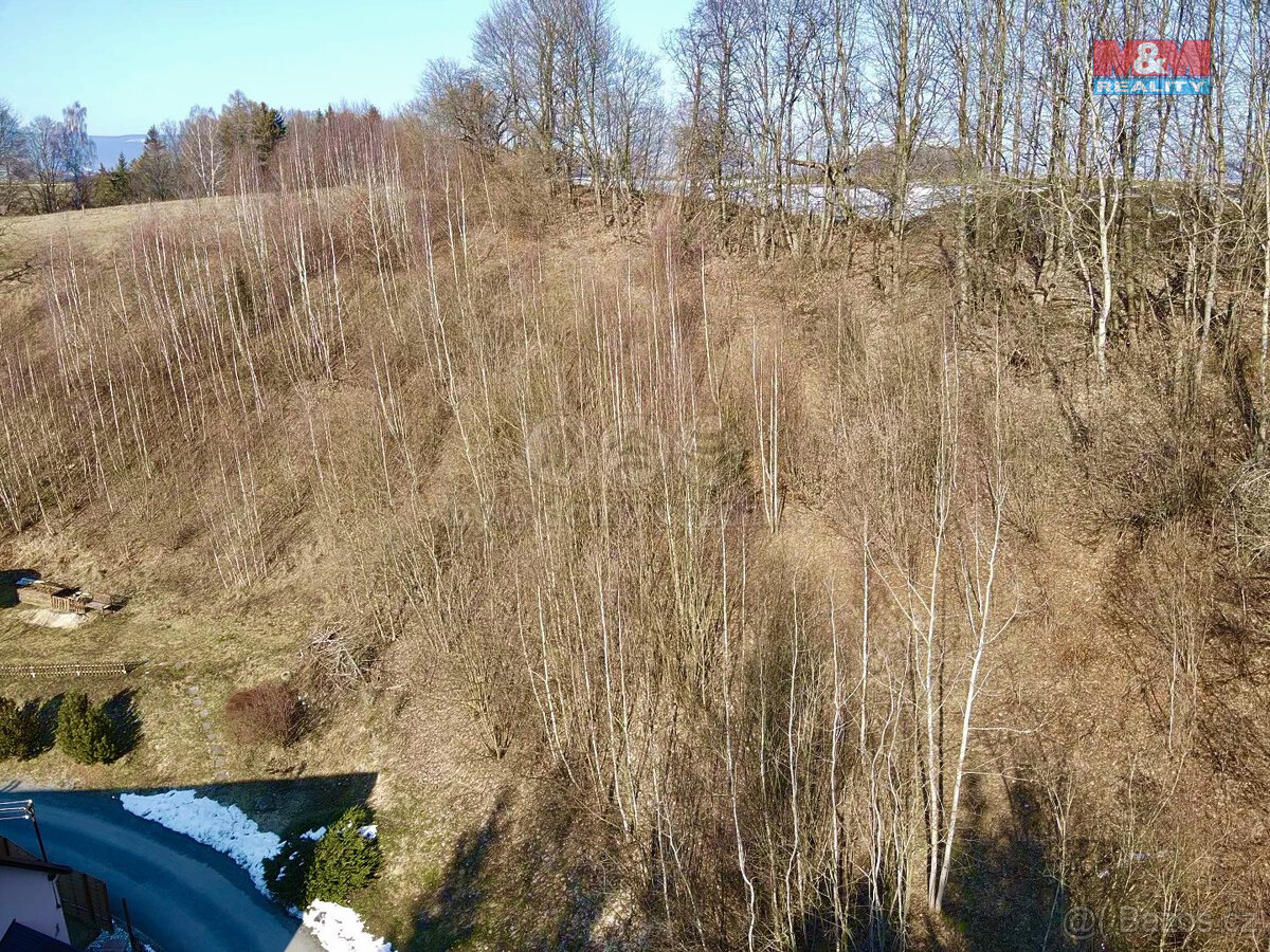 Prodej louky, 3087 m², Hanušovice