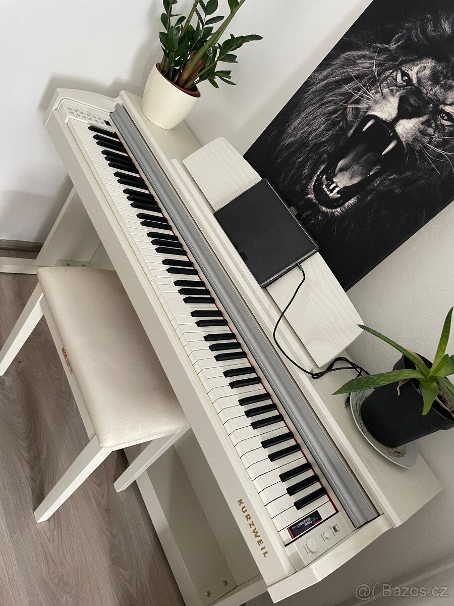 Elektrické piano kruzwel M210 WH