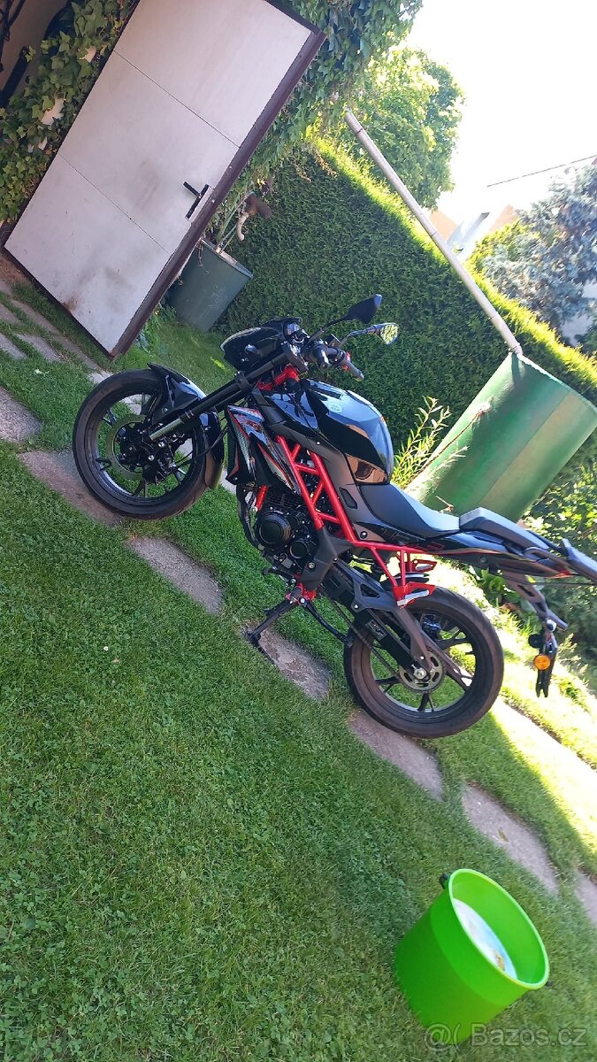 Benelli bn 125 - 2023
