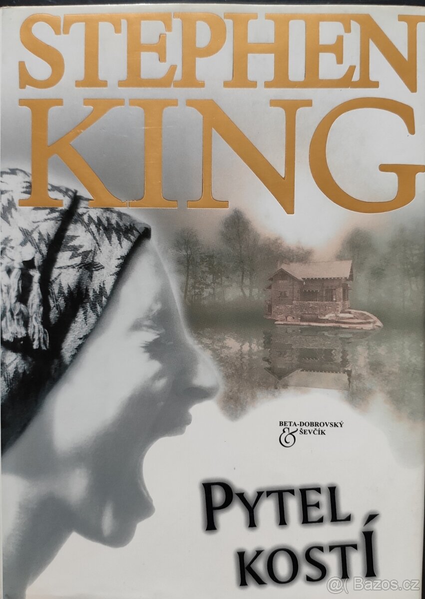 Stephen King: Pytel kostí