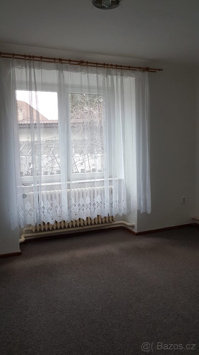 Pronájem bytu 2+1, Vodňany