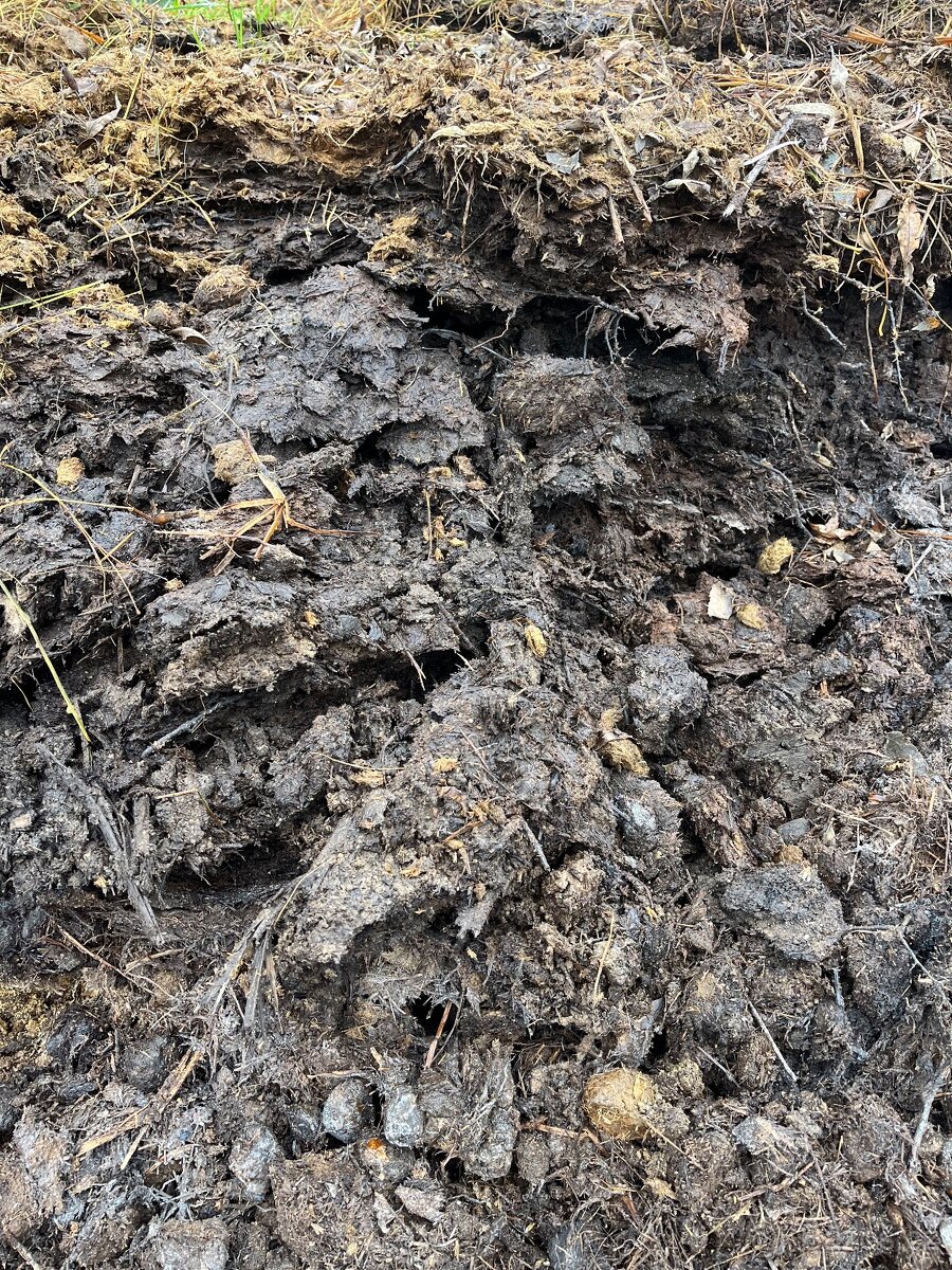 Koňský hnůj zdarma