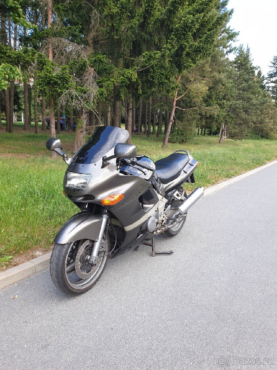 Kawasaki ZZR 600